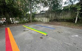 Green Pad @ Overton Park